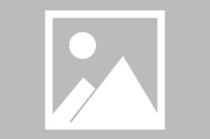 日职联：新泻天鹅VS町田泽维亚预测分析 町田泽维亚状态火热，新泻天鹅能否招架得住